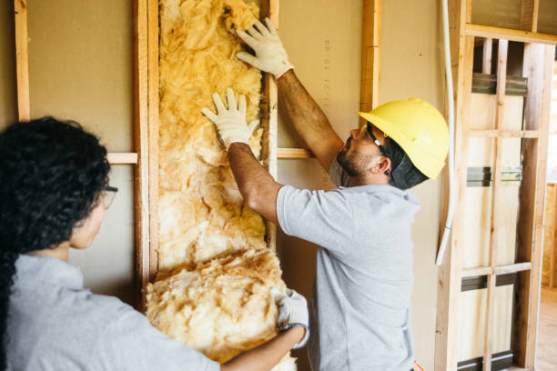 Best Crawl Space Insulation  in Zeeland, MI