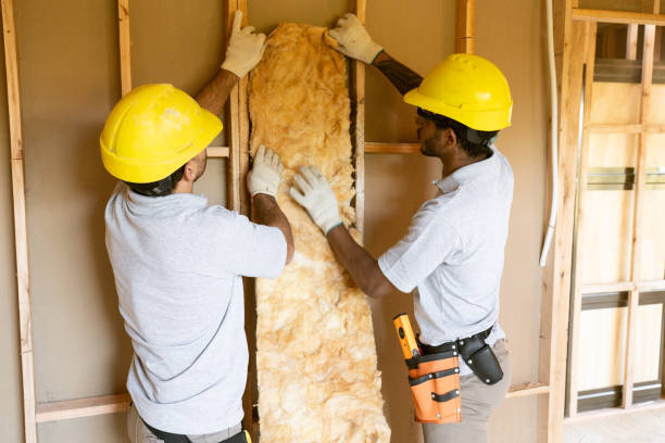 Best Insulation Contractors for Homes  in Zeeland, MI