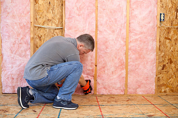 Best Commercial Insulation Contractor  in Zeeland, MI